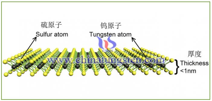 二維層狀納米材料:納米二硫化鎢 二維層狀納米材料:納米二硫化鎢圖片