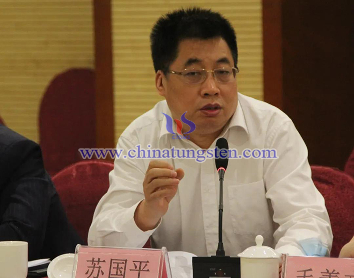 中國鎢業(yè)協(xié)會主席團(tuán)主席、安泰天龍鎢鉬科技有限公司董事蘇國平