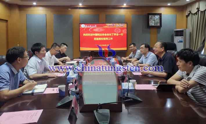 鎢協會長丁學全一行到江西調研圖片