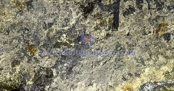 2024年3月江西鎢精礦價格略漲 稀土價格持平 鎢精礦圖片