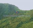 Cangrejos Gold Mine Picture