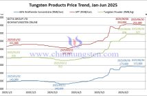 Tungsten Price Trend in the First Half of 2025