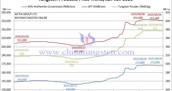 Tungsten Price Trend in the First Half of 2025