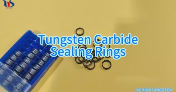 Tungsten Carbide Sealing Rings