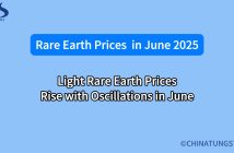 Light Rare Earth Prices Rise with Oscillations in June