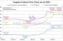 Tungsten Price Trend from January to July 1, 2025