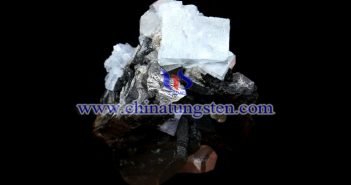 【直播新聞】疫情下鎢行業(yè)的挑戰(zhàn)與機(jī)遇 鎢礦圖片
