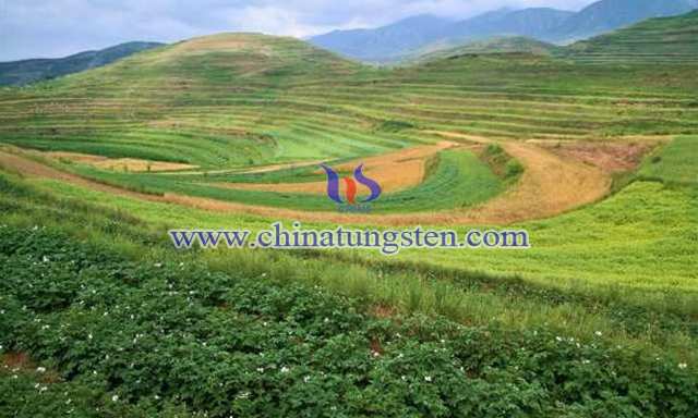 寧夏固原發(fā)現(xiàn)富鉬土地66萬畝