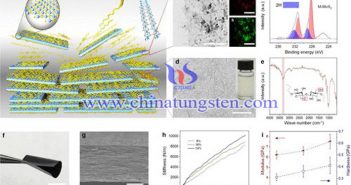 金屬態MoS2復合膜實現高效滲透能轉換圖片