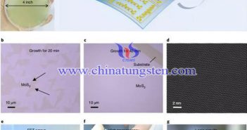 MoS2電子器件讓隱形眼鏡內嵌顯示屏成為可能圖片