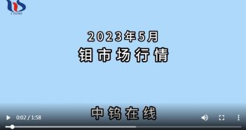 2023年5月中國鉬制品價格走勢