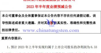 洛陽(yáng)鉬業(yè)2023年上半年業(yè)績(jī)預(yù)告
