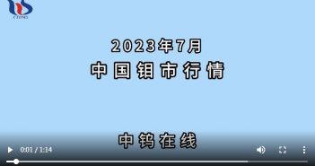 2023年7月中國(guó)鉬市行情
