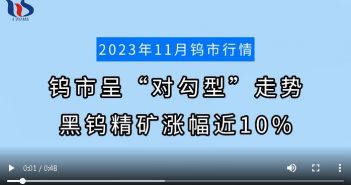 2023年11月鎢市行情 2023年11月鎢市行情