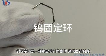 【知鎢】鎢固定環(huán):應(yīng)用于半導(dǎo)體制造行業(yè)的關(guān)鍵部件 鎢固定環(huán)圖片
