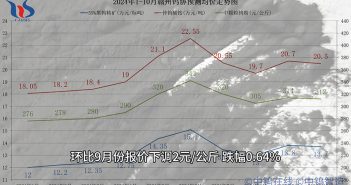 贛州鎢協(xié)2024年10月份國內(nèi)鎢市預(yù)測(cè)均價(jià)