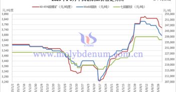 2025年1-6月中國鉬制品價格走勢