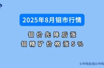 2025年8月鉬市行情如何